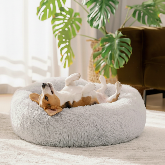 Cama para Perros Antiestrés RoyalPets